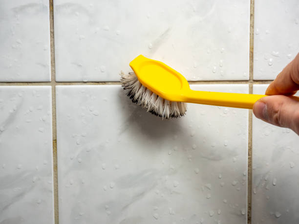 Best Mold Removal Company Near Me  in Brunswick, OH