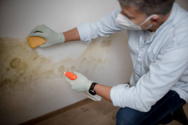 Best Crawl Space Mold Removal  in Brunswick, OH