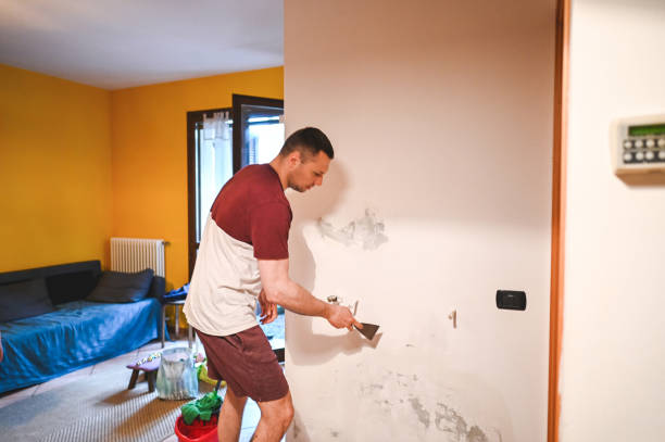 Best Commercial Mold Removal  in Brunswick, OH